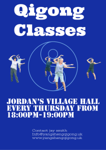 Yangsheng Qigong Tai Chi jordans